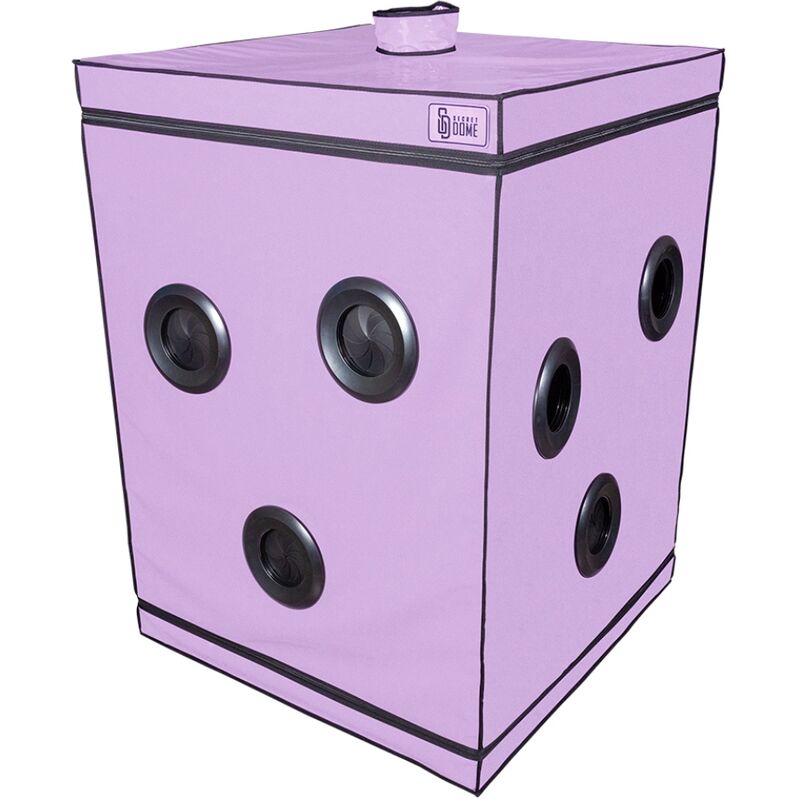 SECRET DOME - KINK CLUB CABINA SCANDALE MORADO