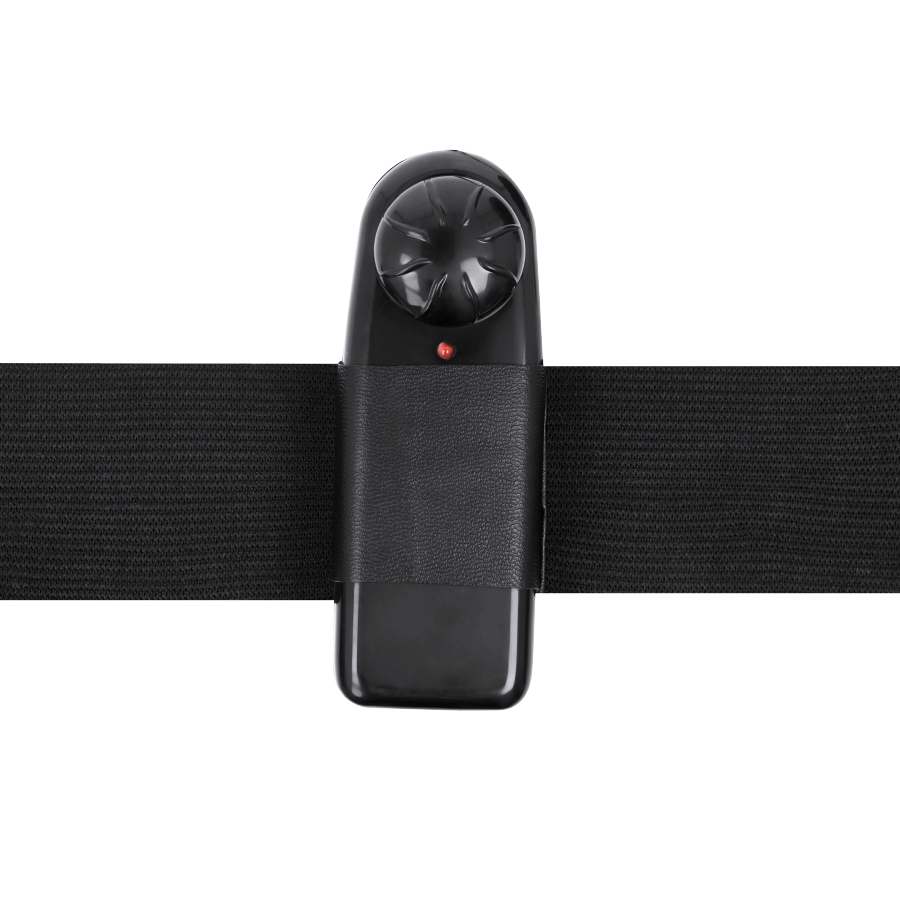 HARNESS ATTRACTION - ARNÉS  WALTER CON VIBRACIÓN 15.5 CM -O- 3.7 CM